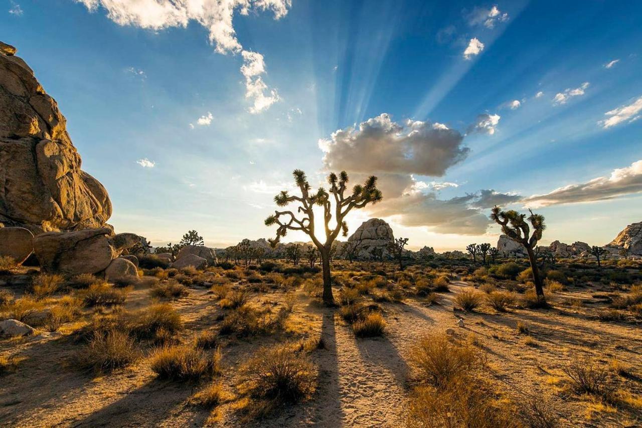 Skyhouse Villa Joshua Tree Exteriör bild